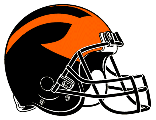Princeton Tigers 1998-Pres Helmet Logo DIY iron on transfer (heat transfer)